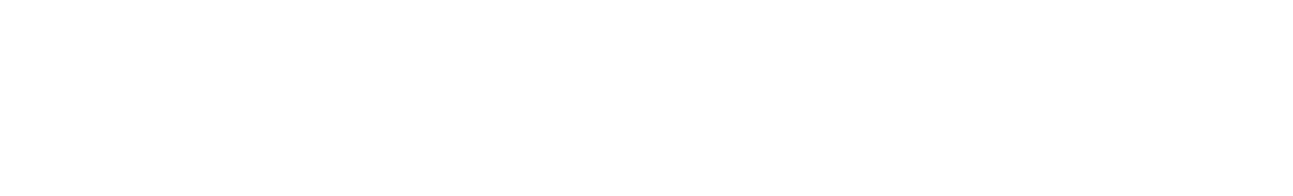 CVV-supporto