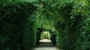 labirinto_home_page-1
